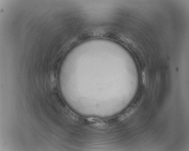 X0000073931395200609082251