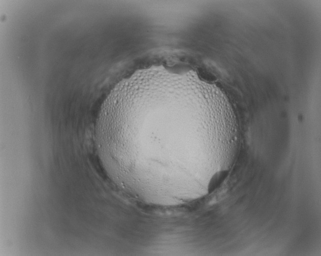 X0000073931397200609082251