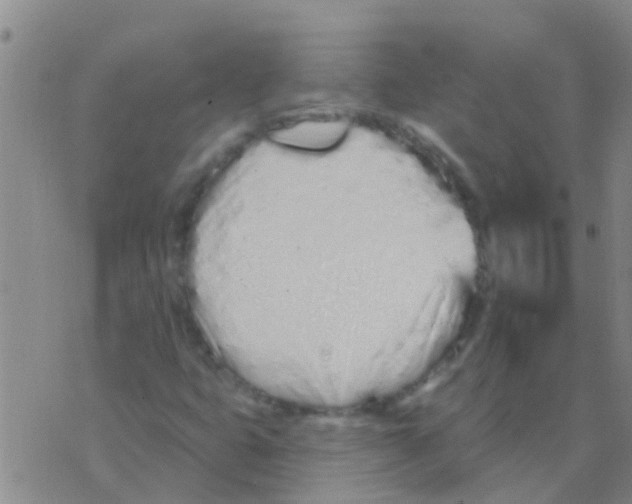 X0000073931399200609082251