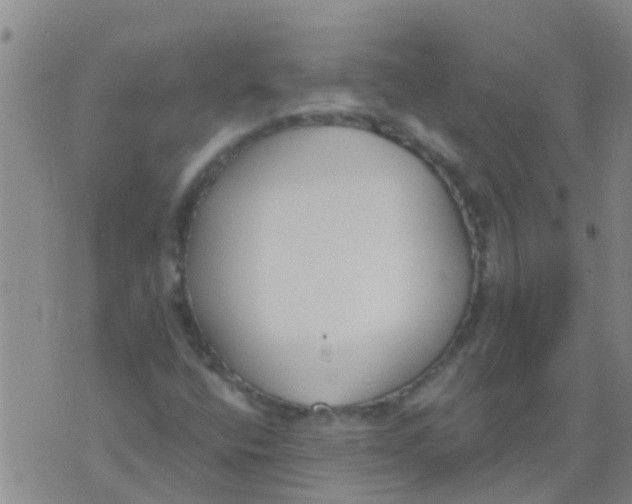 X0000073931400200609082251