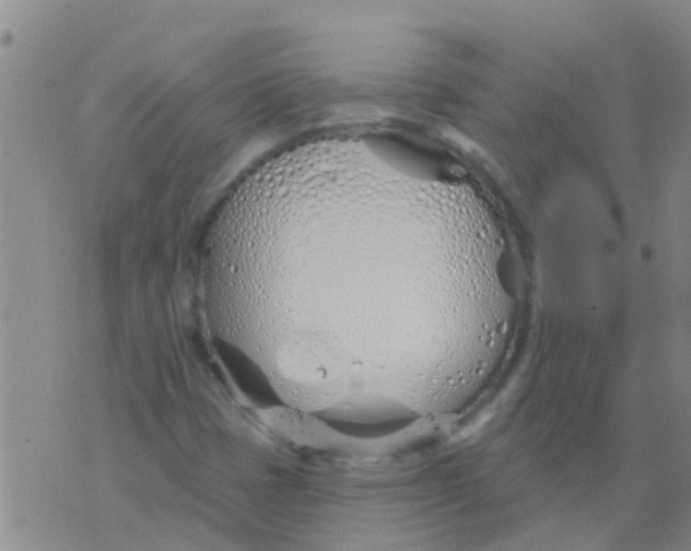 X0000073931401200609082251