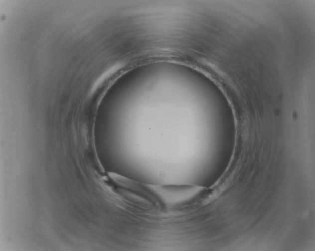 X0000073931402200609082251