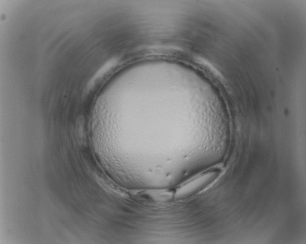 X0000073931403200609082251