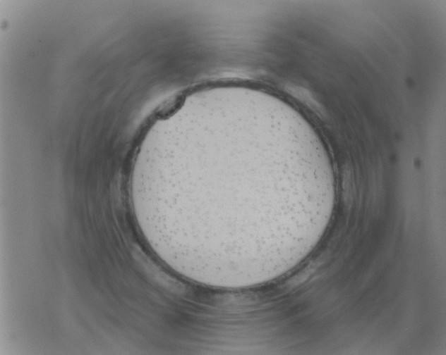 X0000073931404200609082251