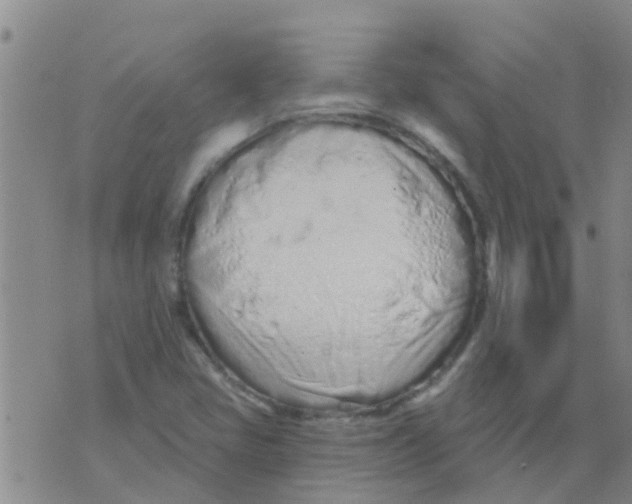 X0000073931405200609082251