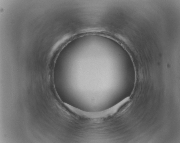 X0000073931406200609082251