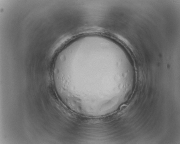 X0000073931407200609082251