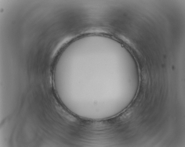 X0000073931408200609082251