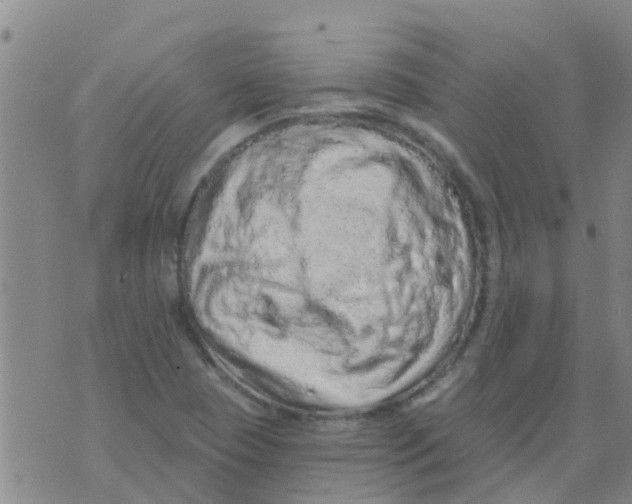 X0000073931409200609082251