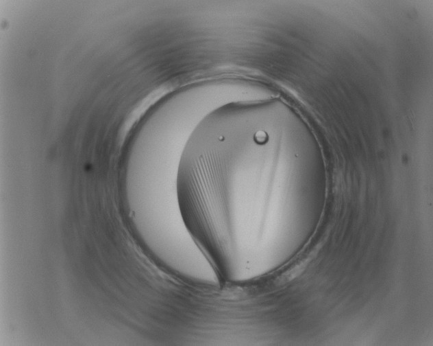 X0000073931410200609082251