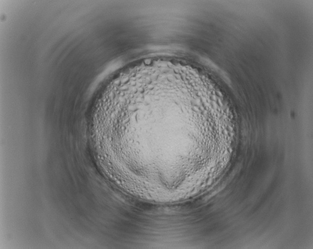 X0000073931411200609082251