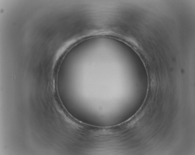 X0000073931414200609082251