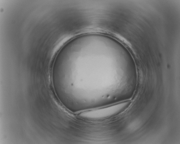 X0000073931415200609082251