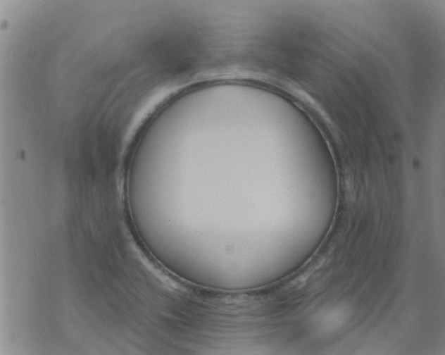 X0000073931416200609082251