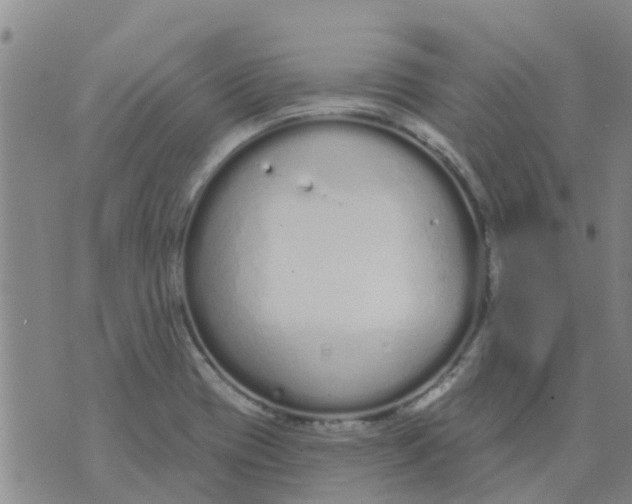 X0000073931417200609082251