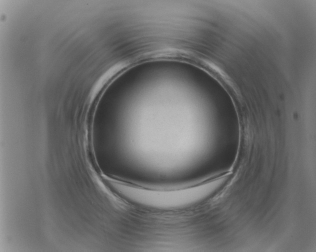 X0000073931418200609082251