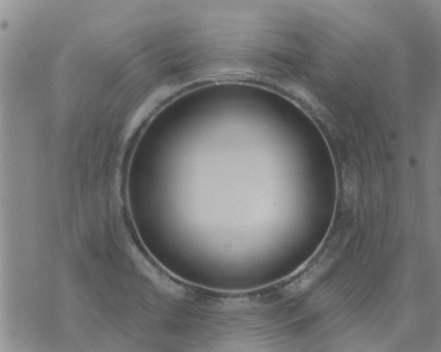 X0000073931422200609082251