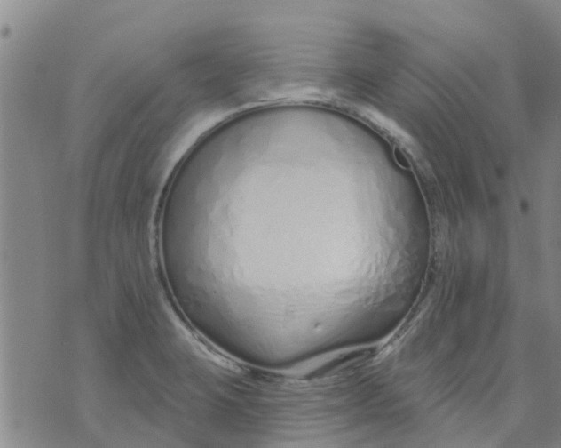 X0000073931423200609082251