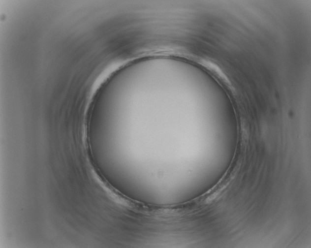 X0000073931424200609082251