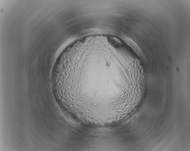 X0000073931427200609082252