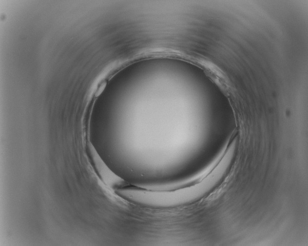 X0000073931430200609082252