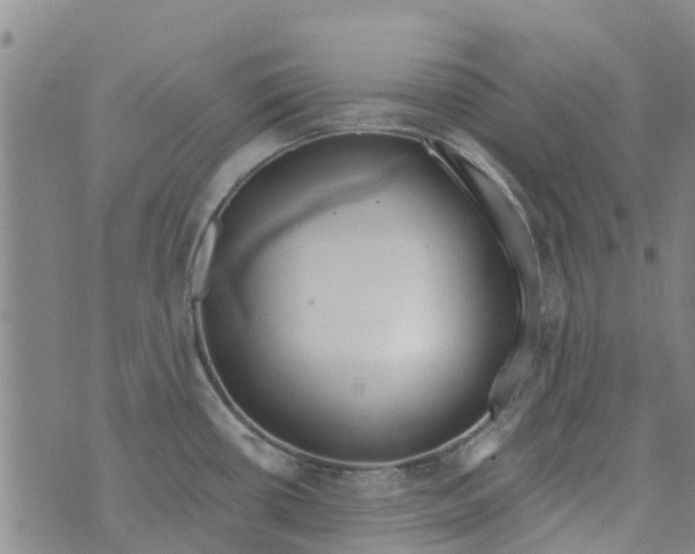 X0000073931434200609082252