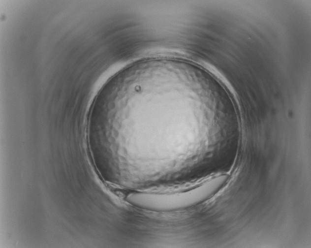 X0000073931437200609082252