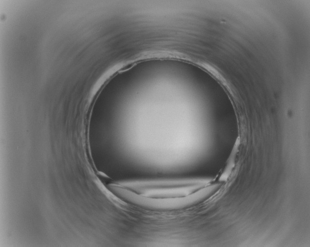 X0000073931438200609082252