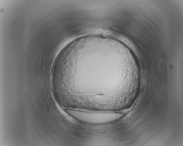 X0000073931439200609082252