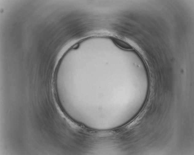 X0000073931440200609082252