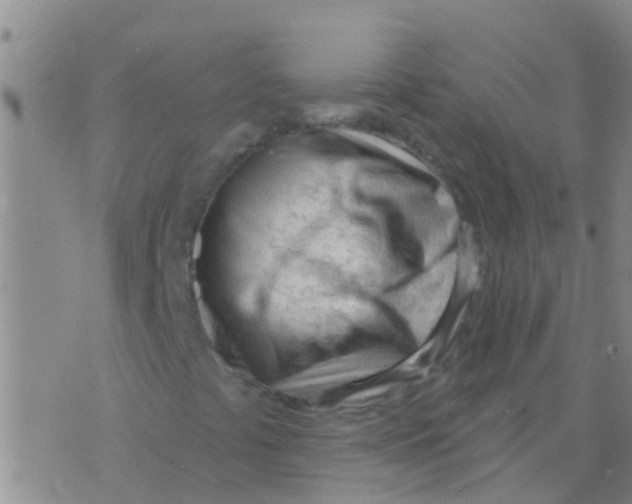 X0000073931441200609082251