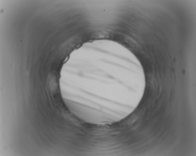 X0000073931442200609082251