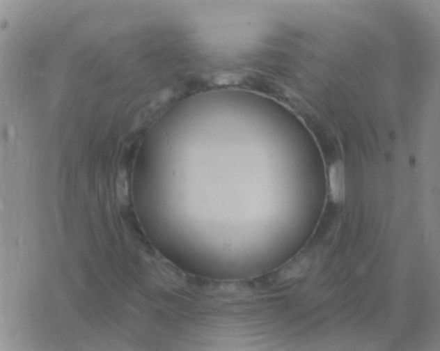 X0000073931443200609082251