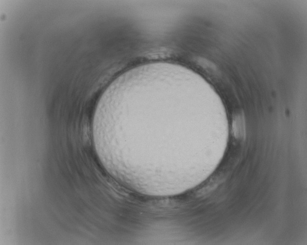 X0000073931444200609082251