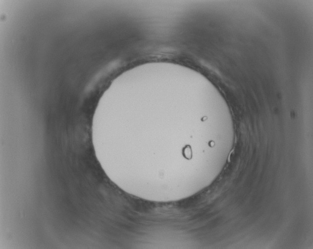 X0000073931447200609082251