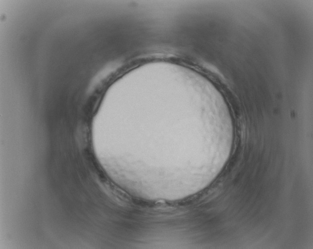 X0000073931448200609082251