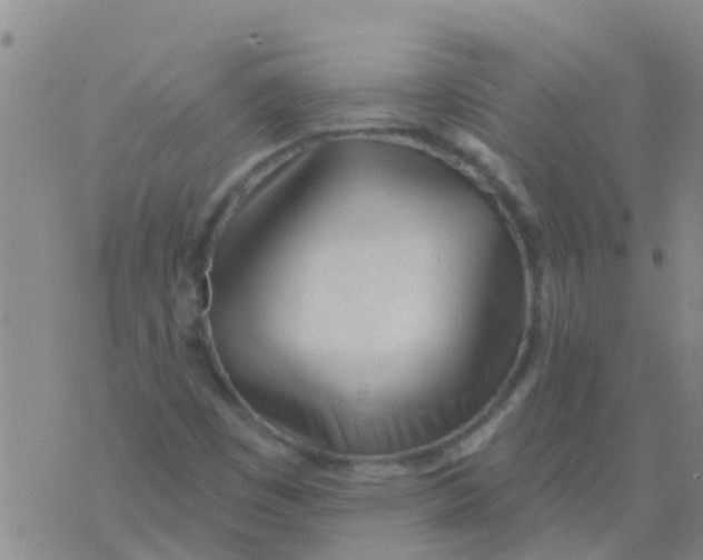 X0000073931449200609082251