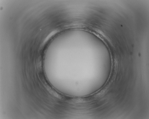 X0000073931450200609082251