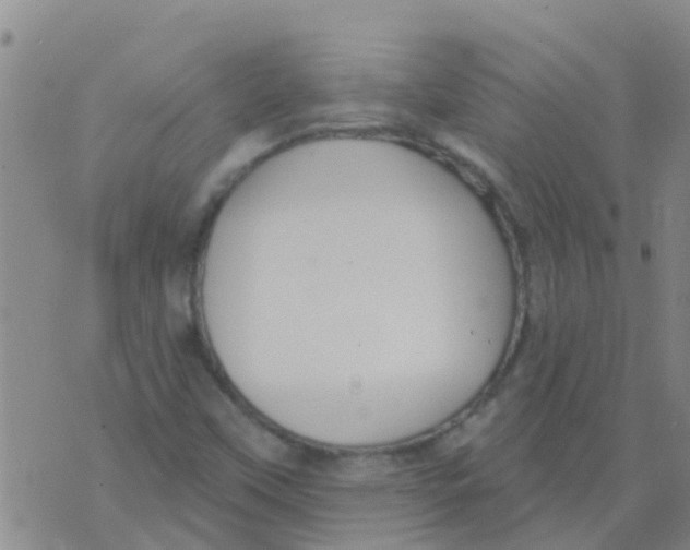 X0000073931451200609082251