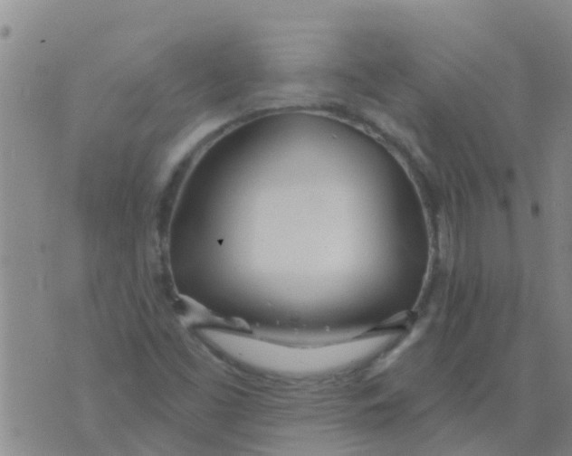 X0000073931453200609082251