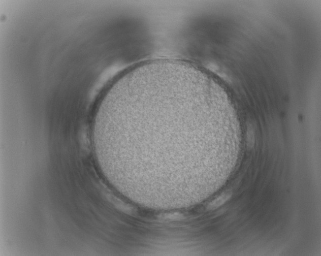 X0000073931454200609082251