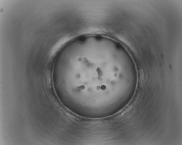 X0000073931455200609082251