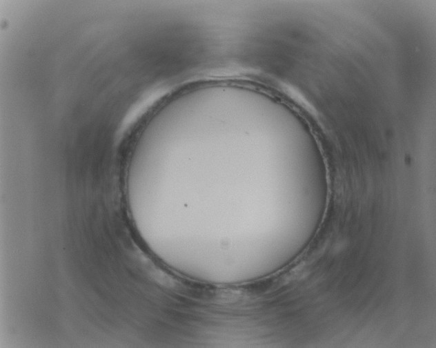 X0000073931456200609082251