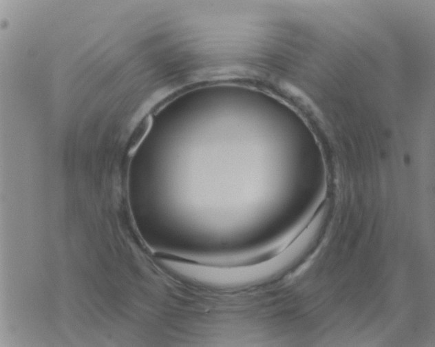 X0000073931457200609082251