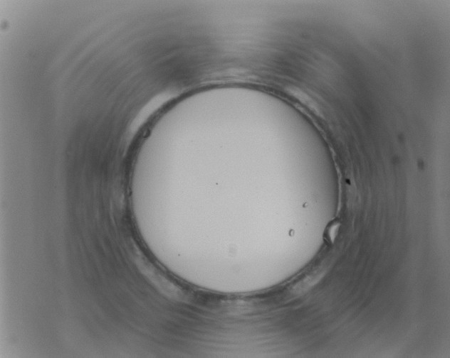 X0000073931458200609082251