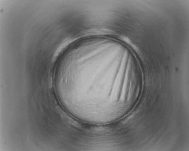 X0000073931459200609082251