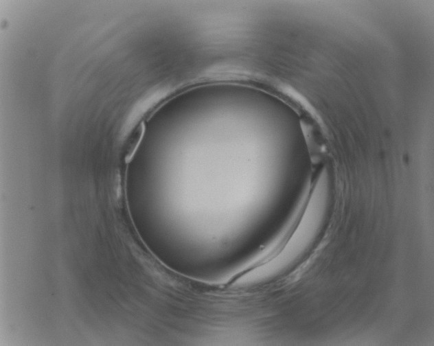 X0000073931461200609082251