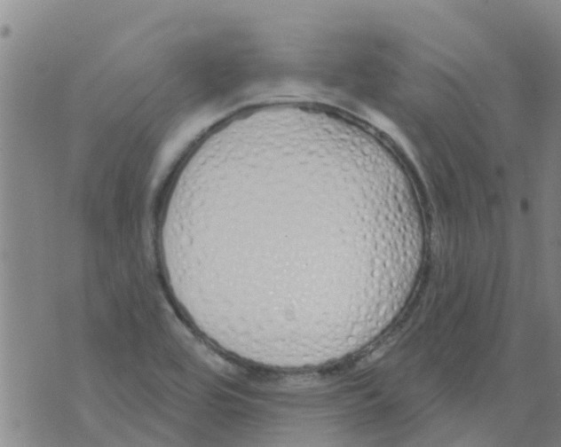 X0000073931464200609082251