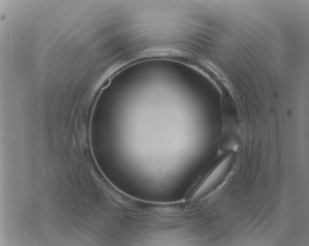 X0000073931465200609082251