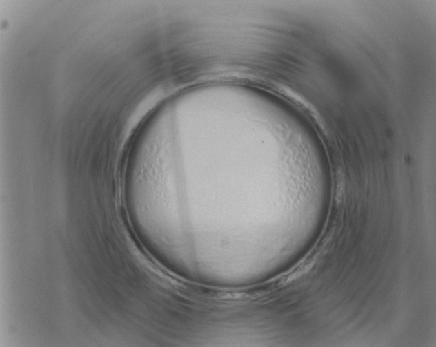 X0000073931467200609082251